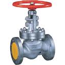 Cast steel globe valve